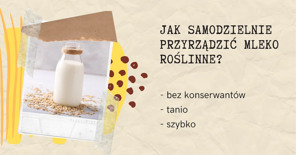 Zdjęcie Jak zrobić mleko roślinne w domu - proste przepisy i porady