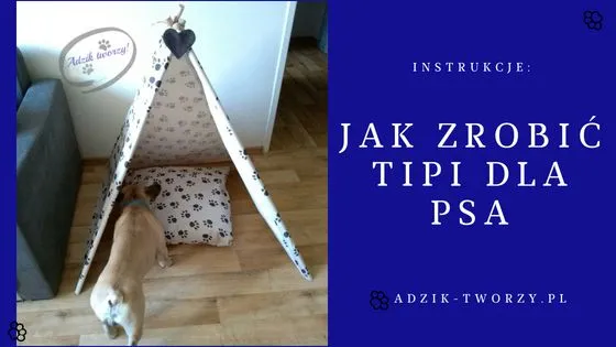 Zdjęcie Jak zrobić tipi dla psa - stwórz bezpieczne miejsce dla swojego pupila