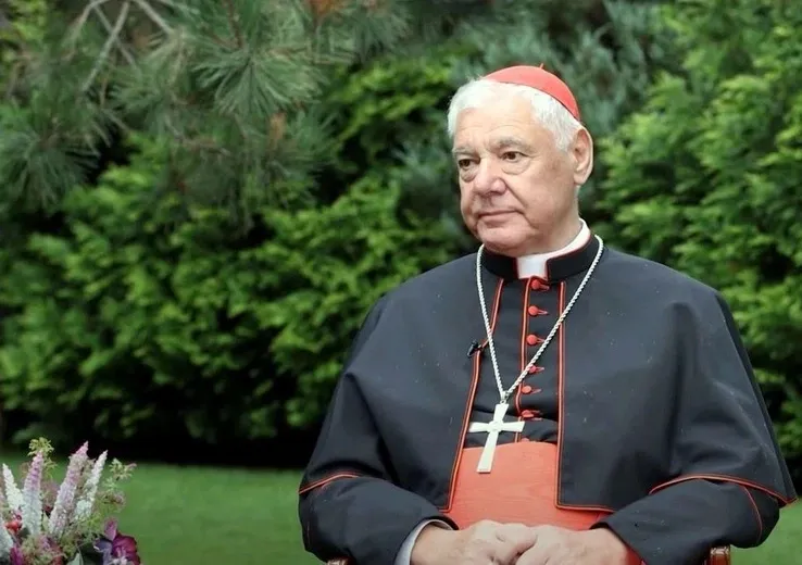 Zdjęcie Kardynał Müller: kontrowersje, osiągnięcia i wpływ na Kościół