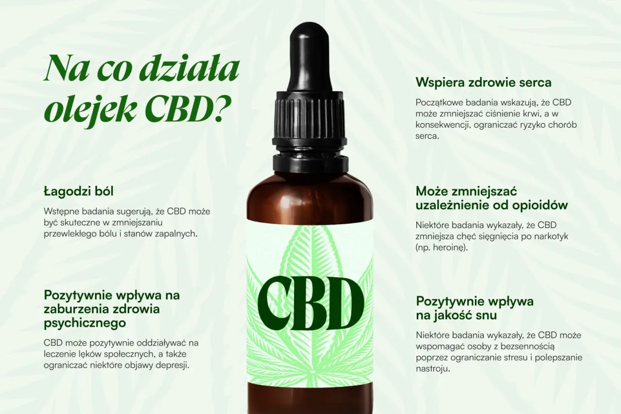 Zdjęcie Najlepsze oleje CBD ranking 2025 – jak wybrać skuteczny produkt?