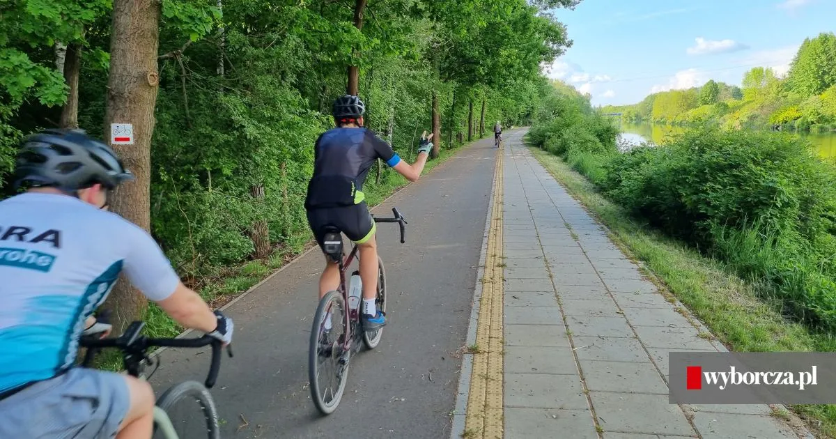 Zdjęcie Fajne trasy rowerowe Warszawa - odkryj najpiękniejsze szlaki
