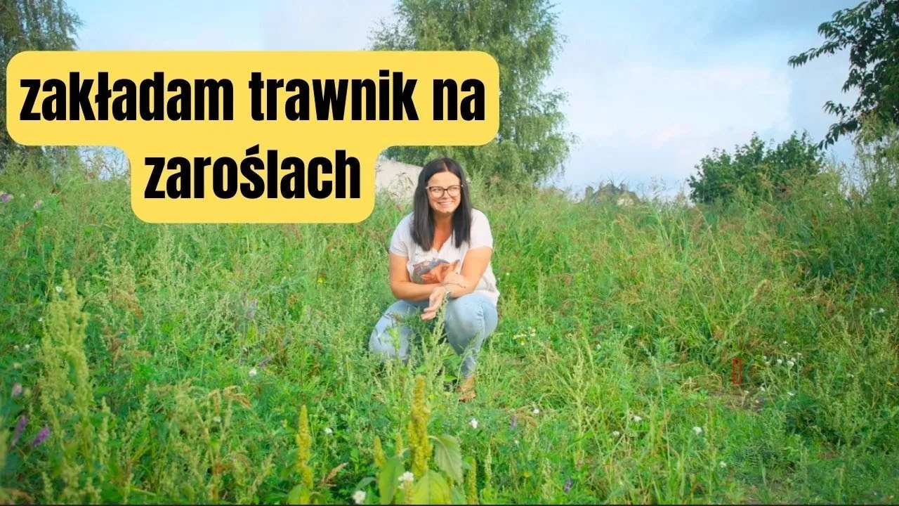 Zdjęcie Jak założyć trawnik na chwastach i uniknąć problemów z pielęgnacją