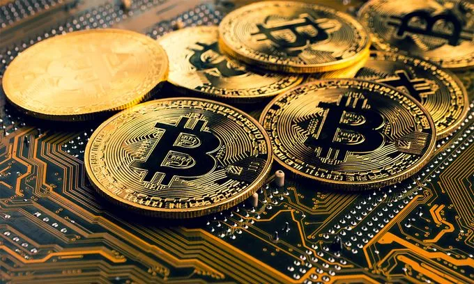 Zdjęcie Najpopularniejsze kryptowaluty: które z nich mogą przynieść zyski?