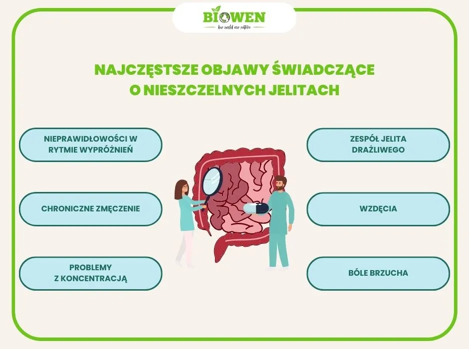 Zdjęcie Złogi w jelitach objawy: Jak rozpoznać niebezpieczne symptomy?