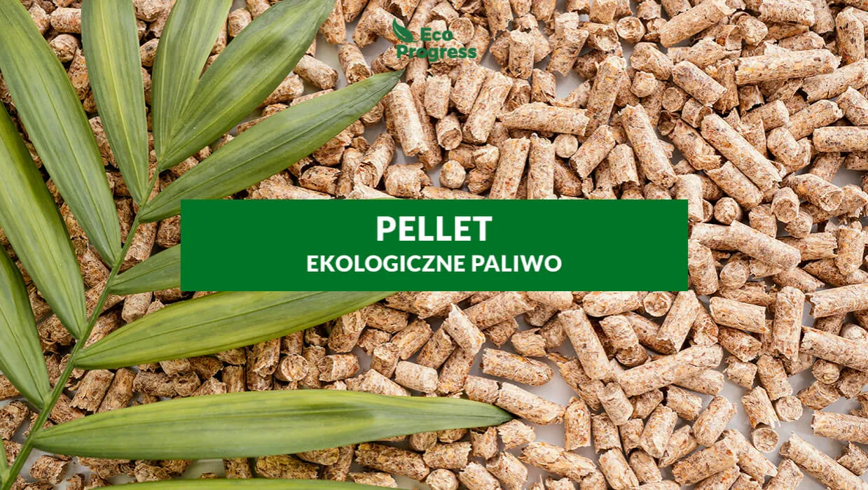 Zdjęcie Z czego robi się pellet? Kluczowe materiały i proces produkcji biopaliwa