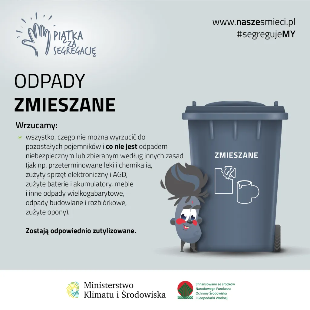 Zdjęcie Co wrzucamy do czarnego pojemnika na śmieci - kompletna lista odpadów