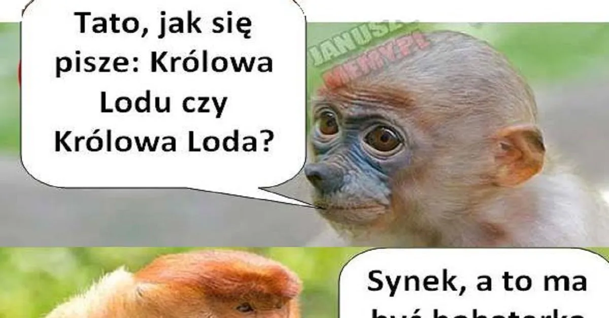 Zdjęcie Jak się pisze alkohol? Poprawna pisownia i częste błędy