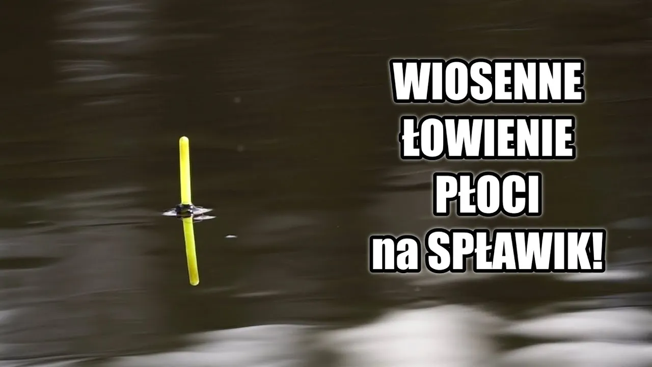 Zdjęcie Jaki spławik na płocie: wybierz najlepszy spławik do skutecznego łowienia