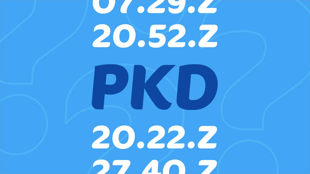 Zdjęcie PKD czy EKD - kluczowe różnice, które musisz znać, by uniknąć błędów
