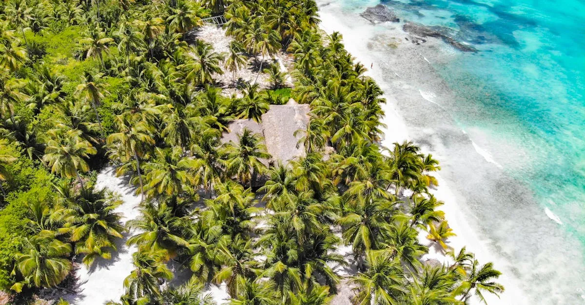 Zdjęcie Najlepsze plaże i miejsca warte zobaczenia w Kostaryce podczas podróży