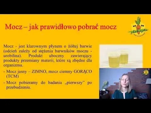 Zdjęcie Jak pobrać mocz od suki i uniknąć problemów zdrowotnych psa