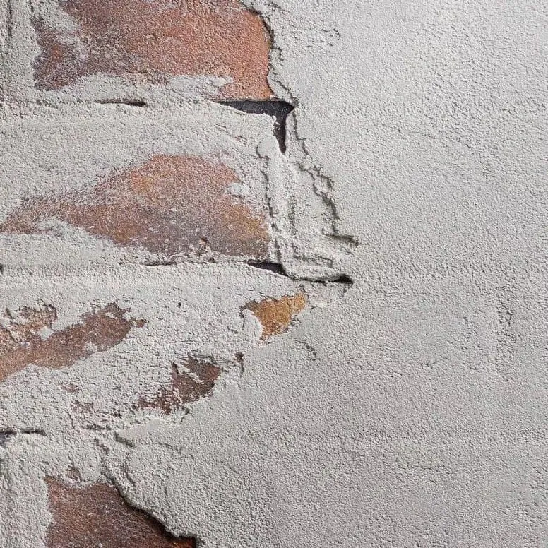 Zdjęcie Tynki gipsowe czy cementowe: Który materiał wybierz, by uniknąć kosztownych błędów?