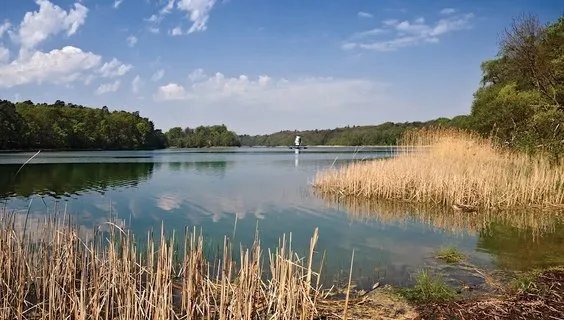 Zdjęcie Jezioro Góreckie – odkryj jego ukryte piękno i atrakcje w Wielkopolsce