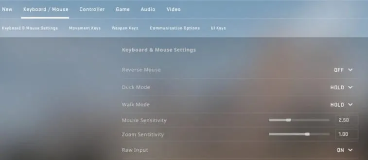 Zdjęcie Config CS:GO: Optymalna konfiguracja dla lepszej rozgrywki
