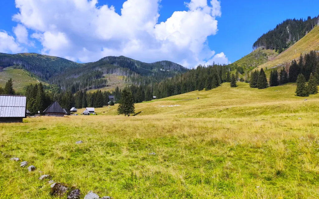 Zdjęcie Siwa Polana i dolina Chochołowska: najłatwiejszy dojazd w Tatry