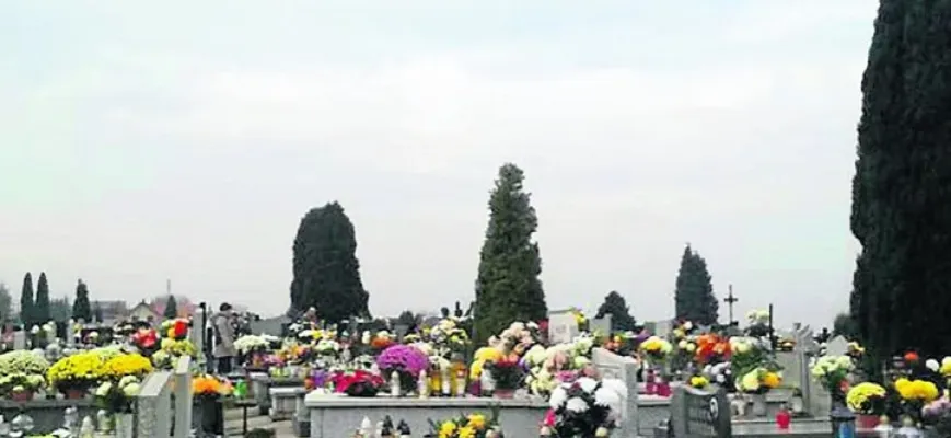 Zdjęcie Ile kosztuje catering na wigilię? Ceny, które mogą Cię zaskoczyć