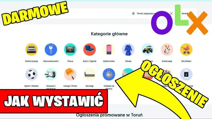 Zdjęcie Ogłoszenie prywatne czy firmowe na OLX? Poznaj kluczowe różnice