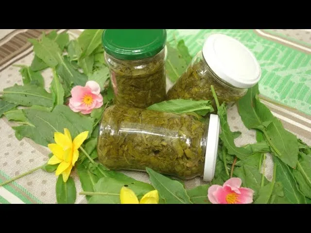 Zdjęcie Jak przygotować szczaw do zupy, aby uniknąć gorzkiego smaku