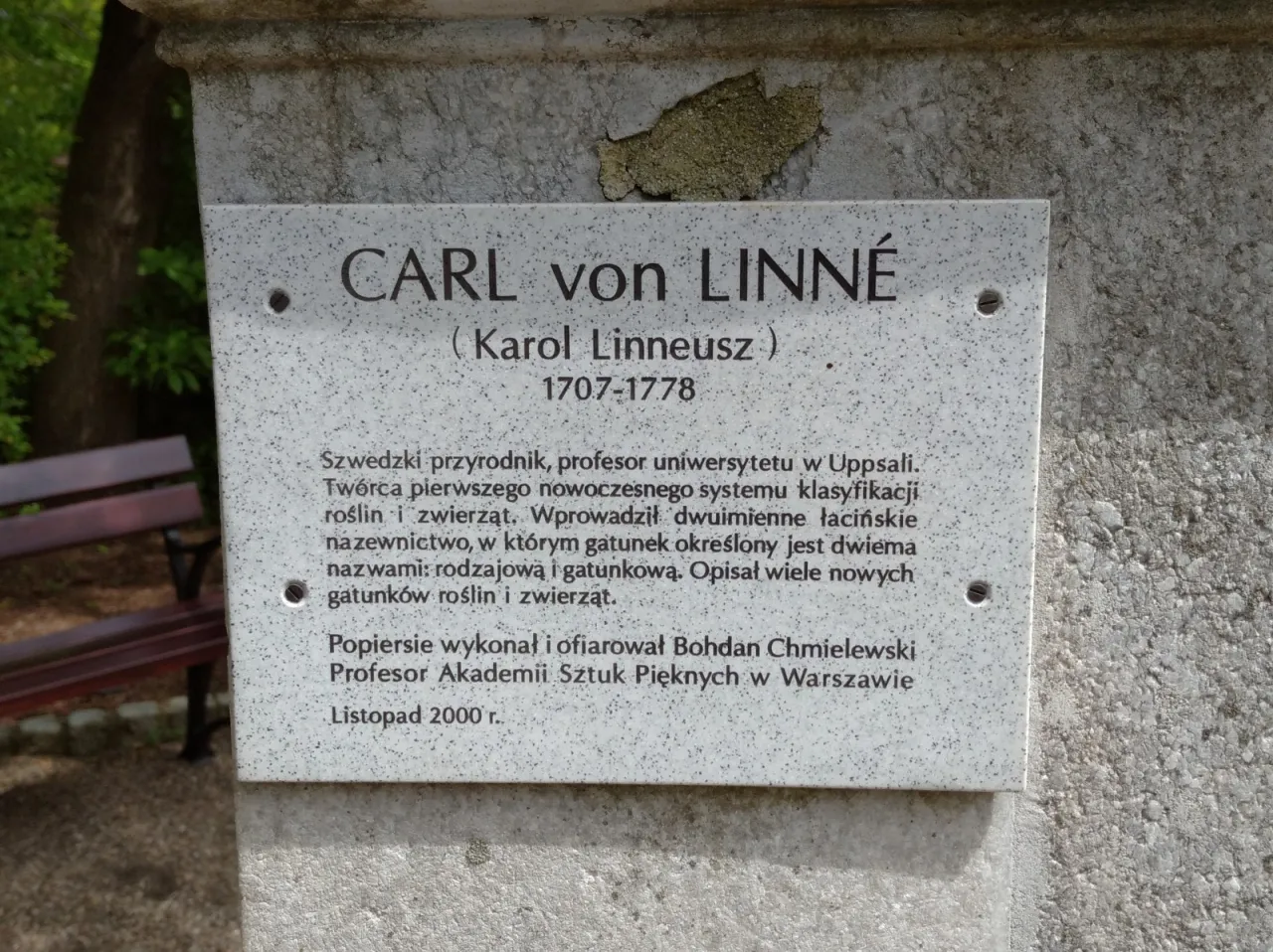 Zdjęcie Karol Linneusz co wynalazł i jak zmienił świat biologii