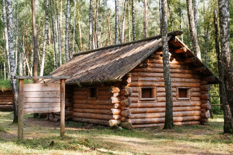 Zdjęcie Ile kosztuje dom z bali całoroczny? Poznaj ukryte wydatki i oszczędności