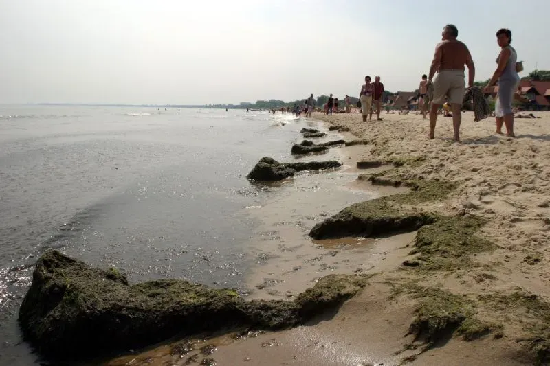 Zdjęcie Czy Bałtyk jest czysty? Sprawdź jakość wody i bezpieczeństwo kąpieli