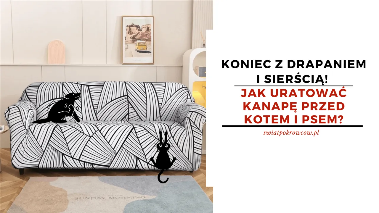 Zdjęcie Jak zabezpieczyć kanapę przed kotem: Proste triki i porady