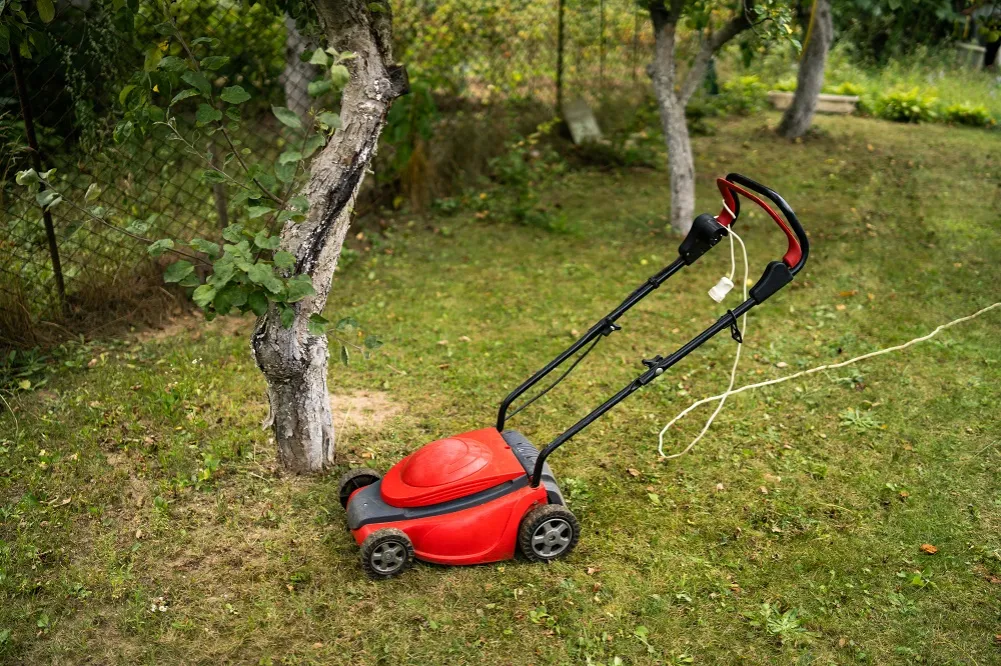 Zdjęcie Kosiarka elektryczna NAC czy Makita – która naprawdę jest lepsza?