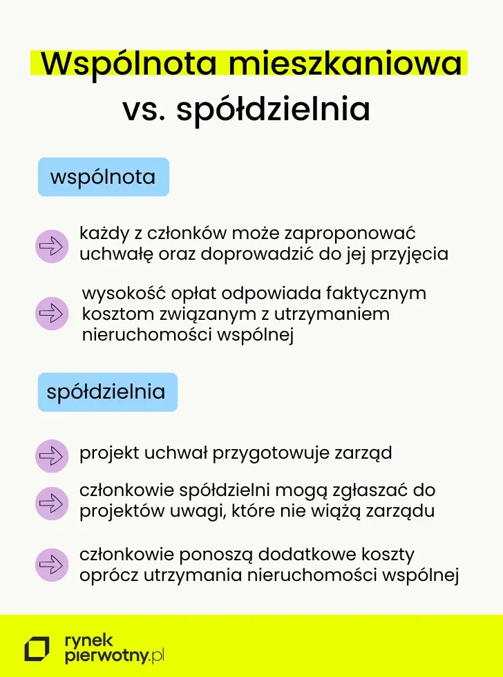 Zdjęcie Jak napisać pismo do spółdzielni mieszkaniowej w sprawie grzyba i uniknąć problemów