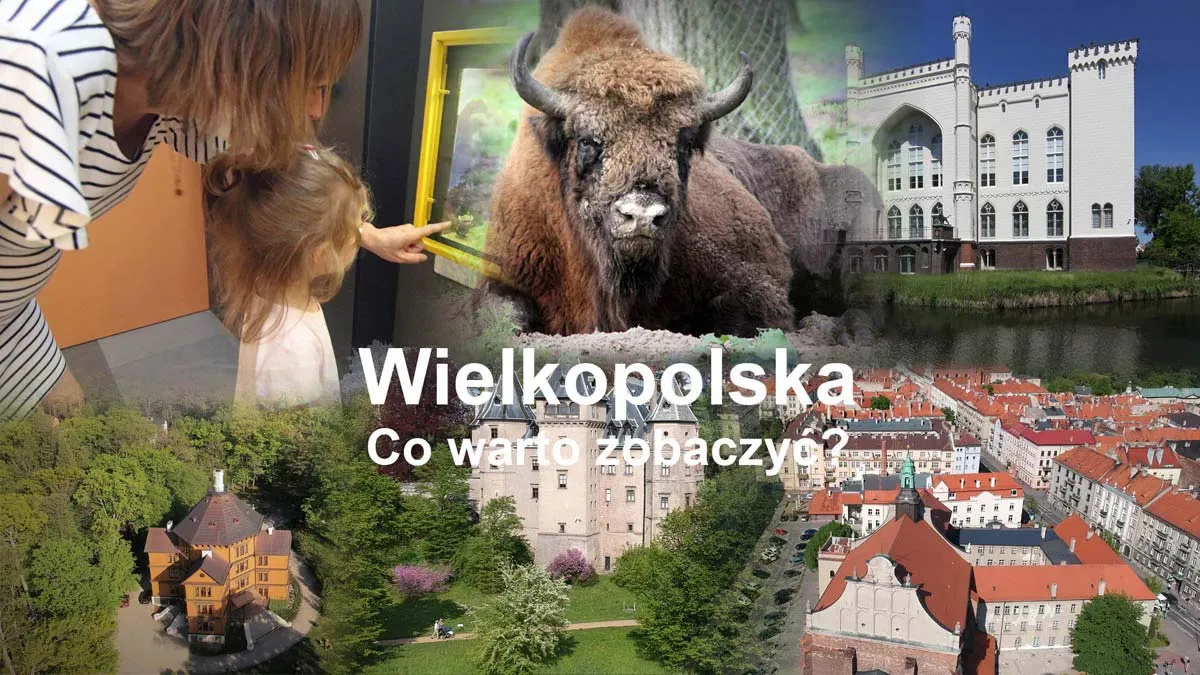 Zdjęcie Najciekawsze atrakcje w Wielkopolsce, które musisz zobaczyć
