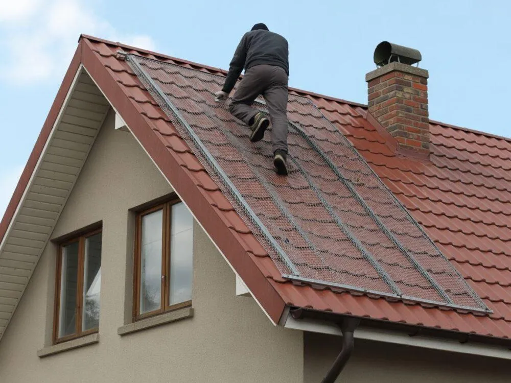 Zdjęcie Jak zabezpieczyć dach przed kunami i uniknąć kosztownych napraw