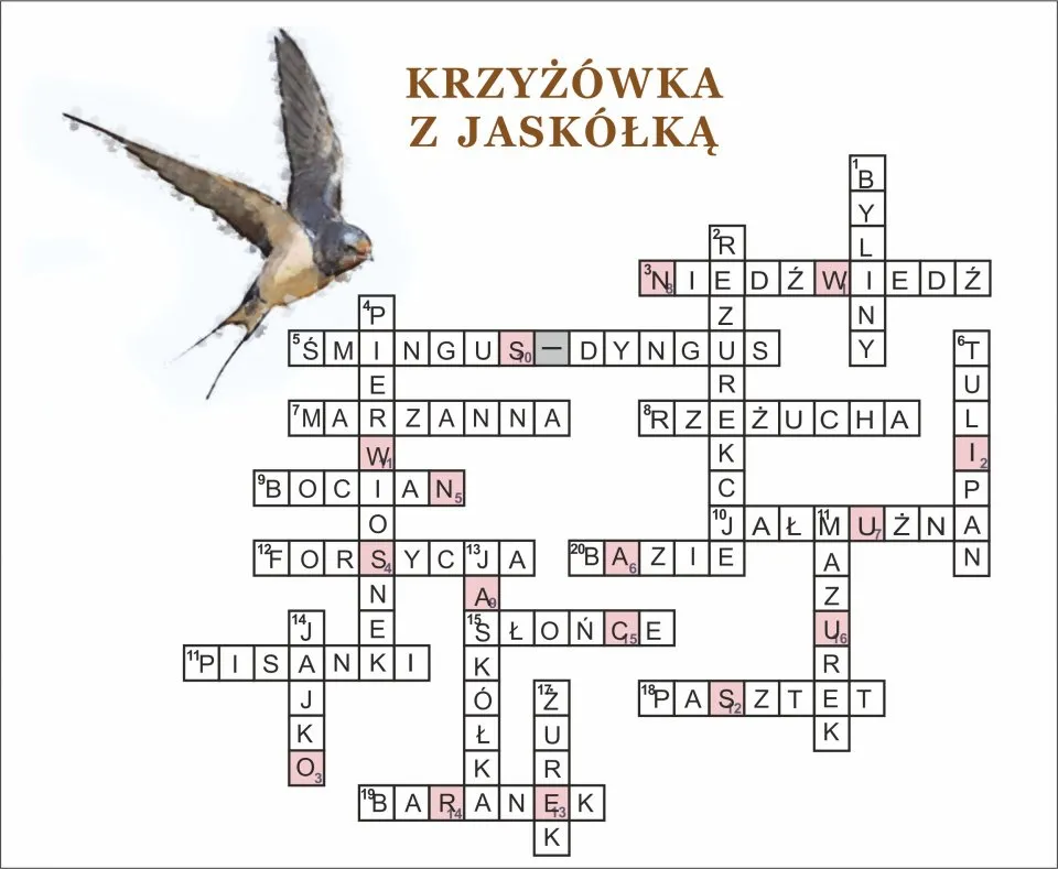 Zdjęcie Tajemnice drogi w lesie: rozwiązania krzyżówek i rozważania