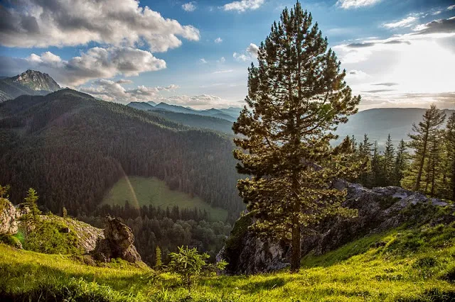 Zdjęcie Jakie są polskie góry? Odkryj najpiękniejsze pasma i szczyty