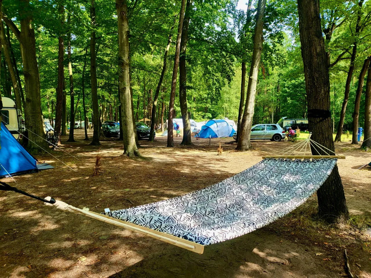 Zdjęcie Camping jezioro Turawskie - najlepsze miejsca i opinie gości