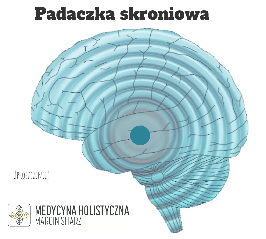 Zdjęcie Padaczka skroniowa czy nerwica - jak je odróżnić i leczyć?