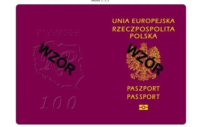 Zdjęcie Czy paszport trzeba odebrać osobiście? Sprawdź, jak uniknąć problemów z odbiorem