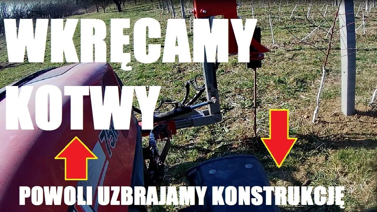 Zdjęcie Jak prawidłowo wkręcić kotwy sadownicze dla stabilnych drzew