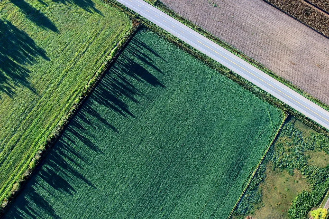Zdjęcie Kiedy nowa ustawa o gruntach rolnych? Kluczowe zmiany i daty