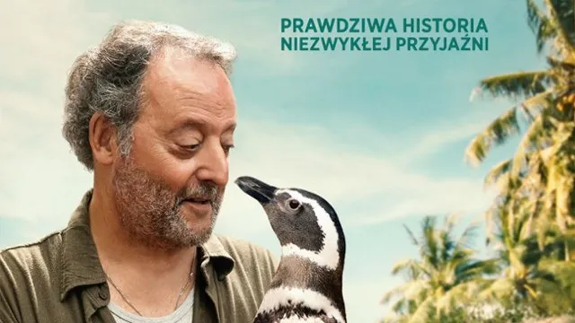Zdjęcie Mój Przyjaciel Pingwin: Gdy natura staje się najlepszym przyjacielem