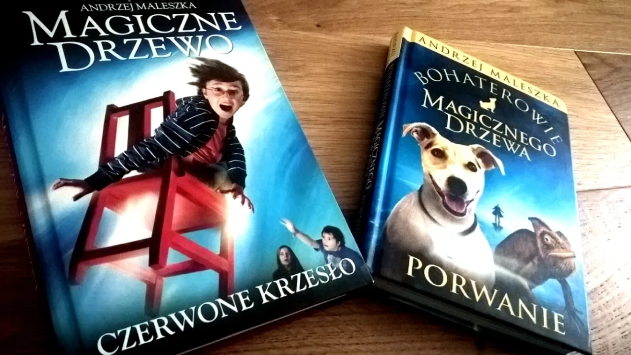 Zdjęcie Jak powstało czerwone krzesło? Tajemnica magicznego pochodzenia