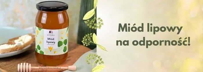 Zdjęcie Jaki miód dla dzieci wybrać: 5 rodzajów bezpiecznych dla najmłodszych