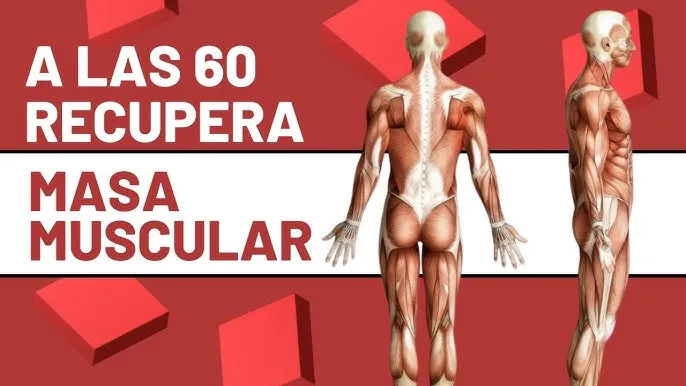 Zdjęcie Cómo recuperar masa muscular de forma efectiva y segura a cualquier edad