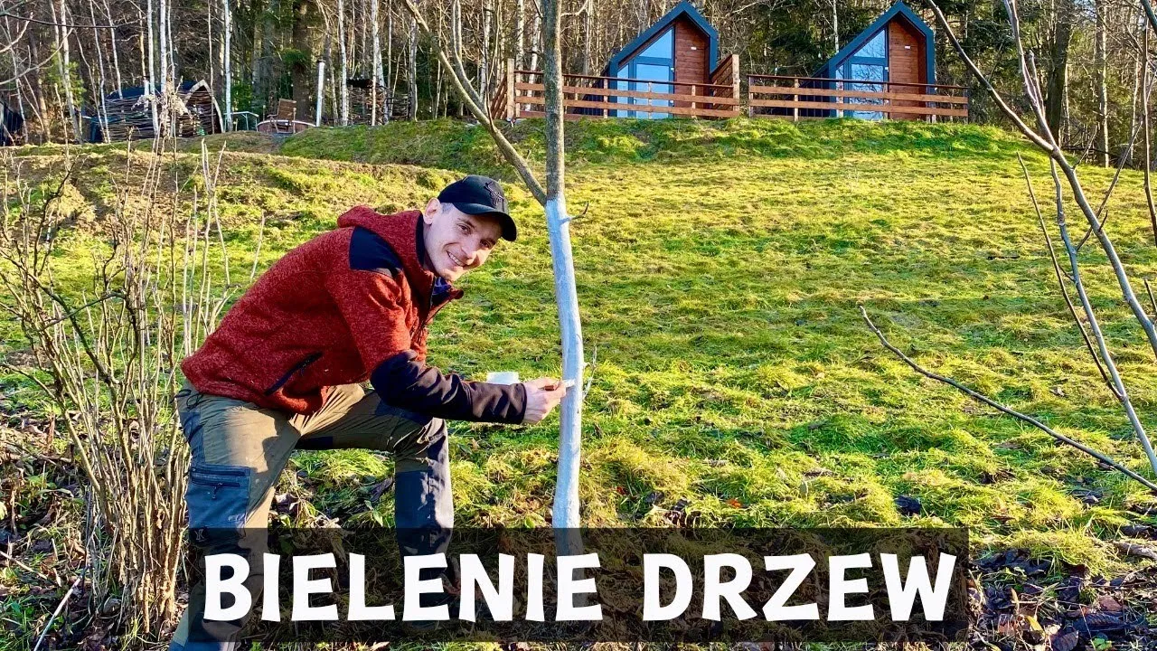 Zdjęcie Jak malować drzewa: proste techniki, które odmienią Twoje obrazy