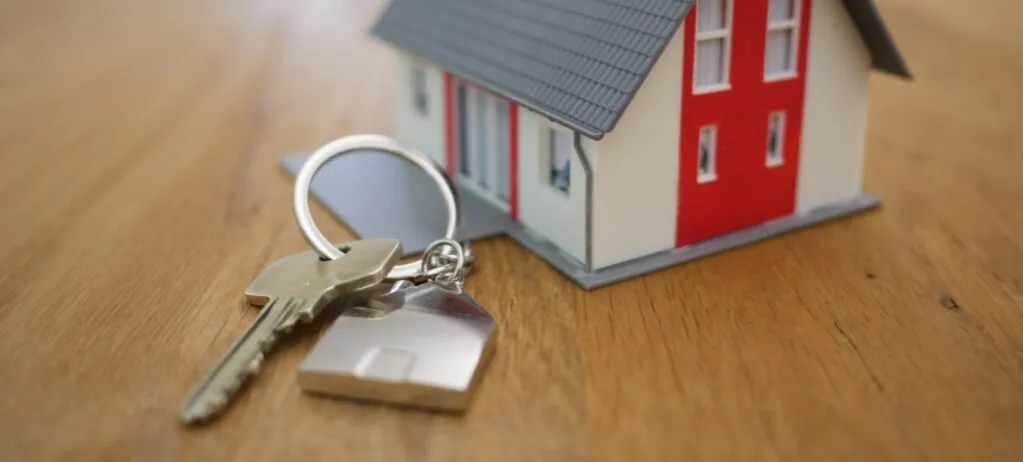 Zdjęcie Czym zajmuje się deweloper i jakie ma kluczowe obowiązki?