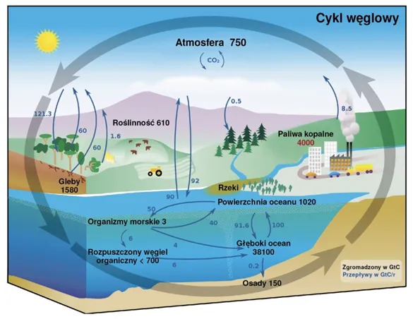 Zdjęcie Co to jest emisja CO2 i jak wpływa na naszą planetę?