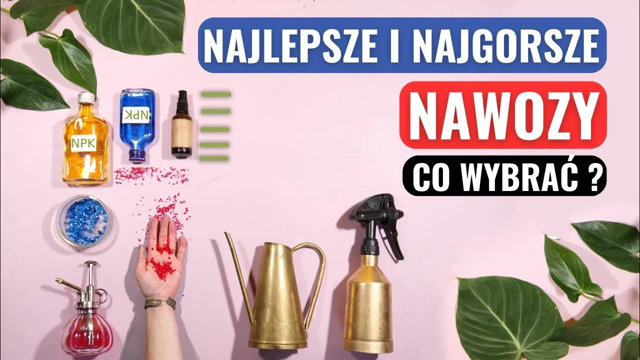 Zdjęcie Jaki nawóz do funkii? Sprawdź skuteczne metody nawożenia