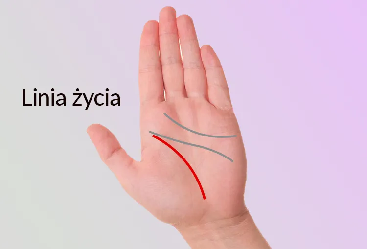 Zdjęcie Naszyjnik linia życia co oznacza i jego symbolika w życiu zawodowym