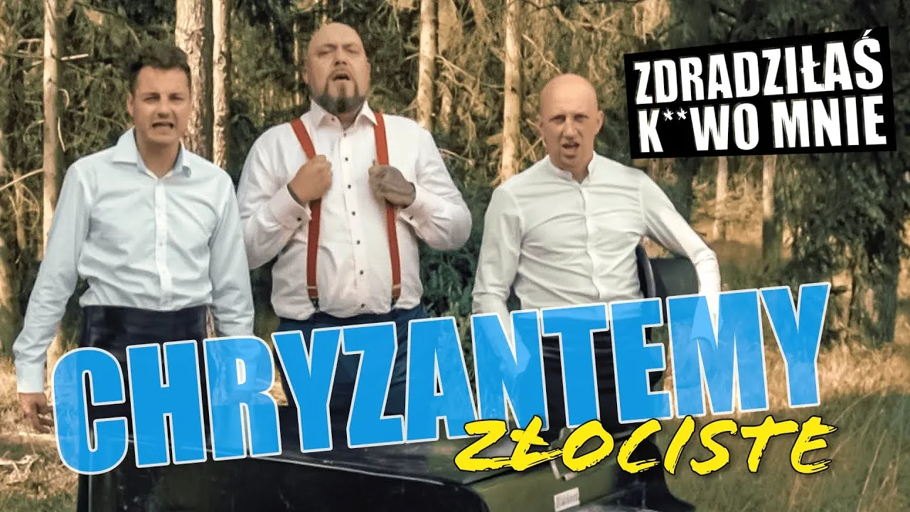 Zdjęcie Chryzantemy złociste - kto śpiewa tę piękną piosenkę?