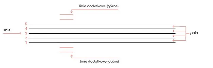 Zdjęcie Jak zapisywać nuty na pięciolinii - proste zasady i przykłady