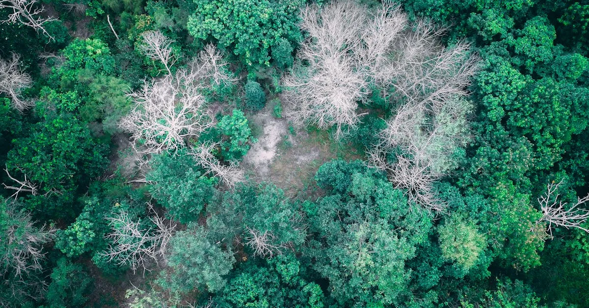 Zdjęcie Kiedy najlepiej jechać na Madagaskar przewodnik turystyczny po wyspie