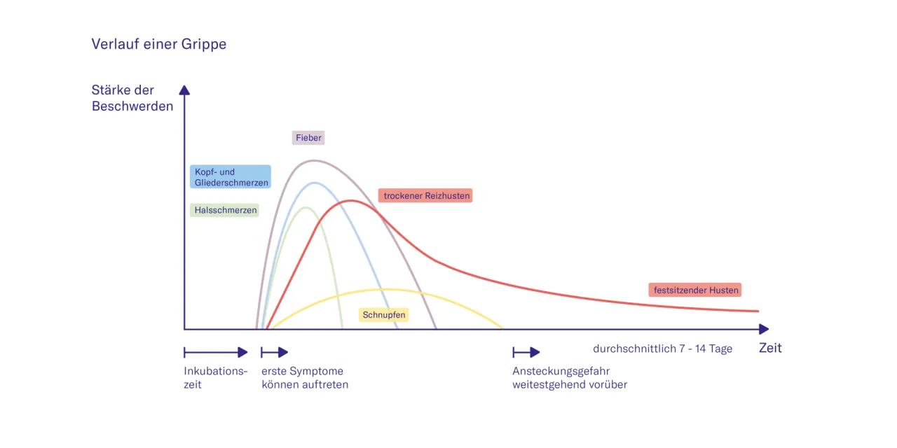 Zdjęcie Influenza Symptome bei Erwachsenen: So erkennen Sie die Krankheit schnell